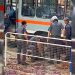 Homem de 52 anos matou 3 pessoas e deixou, pelo menos, outras 3 feridas atentado em ônibus de Piracicaba | Foto: Reprodução