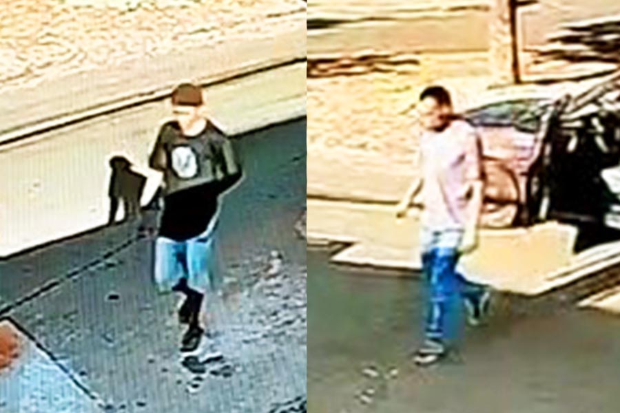Dupla integra grupo especializado nesse tipo de crime | Foto: Reprodução
