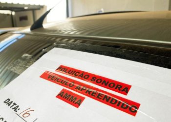 Prefeitura de Goiânia realiza 15 apreensões em operação de combate à poluição, de sexta-feira (15/07) a domingo (17/07): denúncias podem ser feitas pelo site da administração ou telefone 161 | Foto: Amma