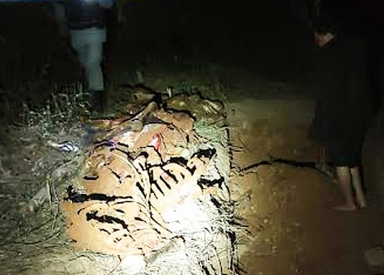 PM flagra abate de carne de cavalo dentro de casa em Aparecida de Goiânia | Foto: Divulgação / PMGO