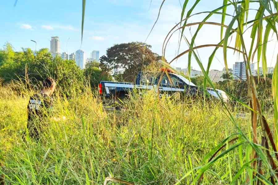 Cachorro foi encontrado em um matagal às margens da Marginal Botafogo, no Jardim Goiás | Foto: Reprodução