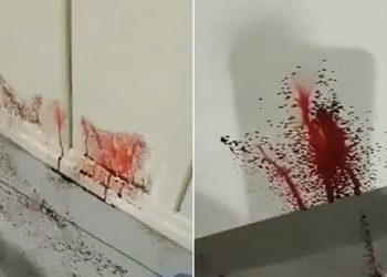 Casa 'jorra' sangue em Cambé, no Paraná | Foto: Reprodução
