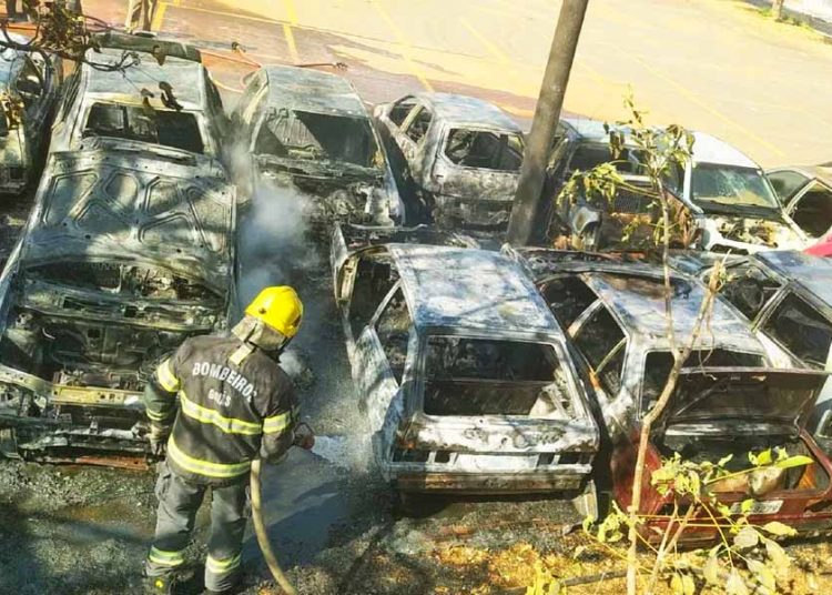 Foto: Divulgação / CBMGO