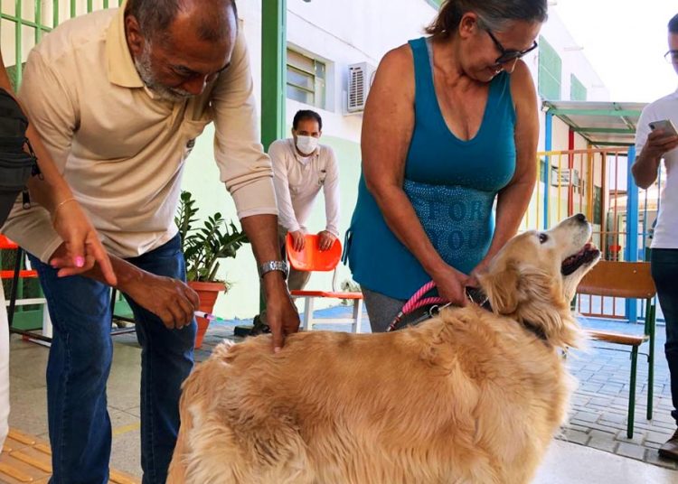Prefeitura de Goiânia mantém, neste sábado (10/09), 106 pontos de vacinação antirrábica, nos Distritos Sanitários Centro/Campinas e Norte, das 08h às 17h: durante a semana, vacina está disponível nos sete Distritos, na Unidade de Vigilância em Zoonoses, e no Hospital Veterinário da Universidade Federal de Goiás (UFG) | Foto: SMS