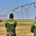 Fiscalização ambiental da Semad Goiás | Foto: Divulgação