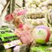 Governo de Goiás inicia distribuição de brinquedos da campanha Natal do Bem | Foto: Divulgação