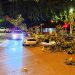 Galho de gameleira cai sobre carro em movimento em Goiânia | Foto: José Alves / Folha Z
