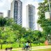 Prefeitura de Goiânia avança em tecnologia com instalação de 200 câmeras de monitoramento, e implantação de 188 km de rede de fibra óptica | Foto: Jucimar Sousa