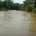 Rio onde corpo foi encontrado boiando | Foto: reprodução/vídeo YouTube