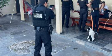 A Polícia Federal (PF) deflagrou, na manhã desta 5ª feira, uma operação para combater fraudes de seguros de veículos | Foto: Polícia Militar