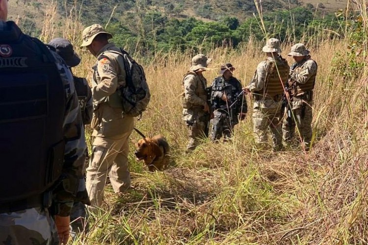 Operação contou com cães farejadores | Foto: SPS-GO