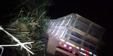 Motorista é atropelado pelo próprio caminhão e tem as pernas esmagadas na BR-153, em Goiás