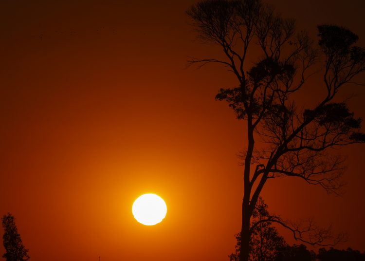 180 municípios goianos estão em alerta de “grande perigo” por onda de calor