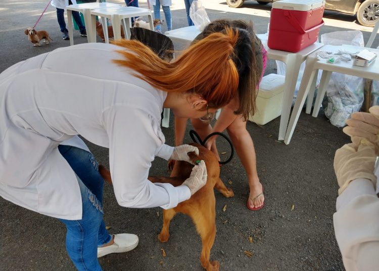 Serão 405 pontos de vacinação distribuídos nos 7 distritos sanitários de Saúde da Capital | Foto: Secom