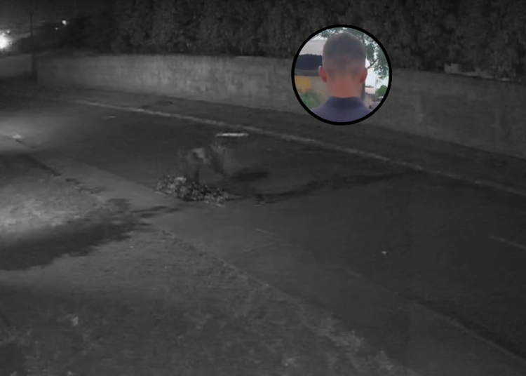 Imagens flagraram o momento da brutalidade | Foto: Reprodução