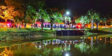 O trabalho de substituição foi realizado pela Agência Municipal do Meio Ambiente (Amma) em parceria com a Secretaria Municipal de Infraestrutura Urbana (Seinfra) | Foto: Amma