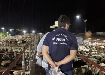 Auditor Fiscal GO: provas em agosto e salários de até R$ 28 mil