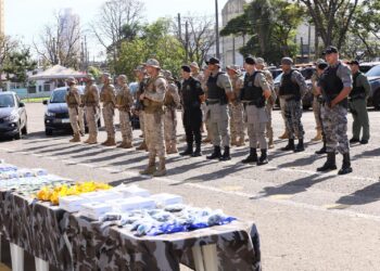 147 presos e 32 armas apreendidas; veja o balanço da ação que reuniu PMs de 7 estados