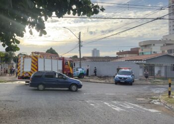 Tragédia em casa: bebê é morto por pitbull em Goiânia