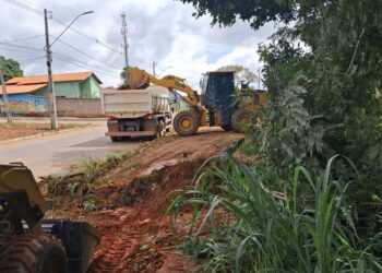 Mais de 400 ações de limpeza foram realizadas nos primeiros 6 meses de 2025