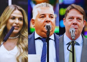 Silvye, Charles e Karlos: Aparecida discute homenagens a deputados com diferentes pesos eleitorais