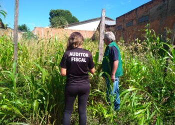 Goiânia: proprietário de lote baldio tem 8 dias para limpar ou será multado