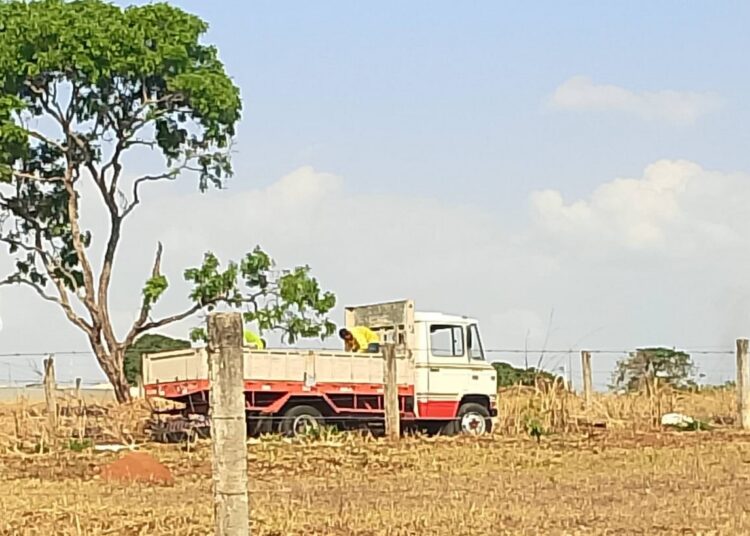 Flagrante foi feito por um seguidor da Folha Z, que preferiu não se identificar, na tarde desta 3ª feira (Foto: Leitor da Folha Z)