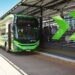 Veículo do BRT Norte Sul na cidade de Goiânia | Foto: Divulgação